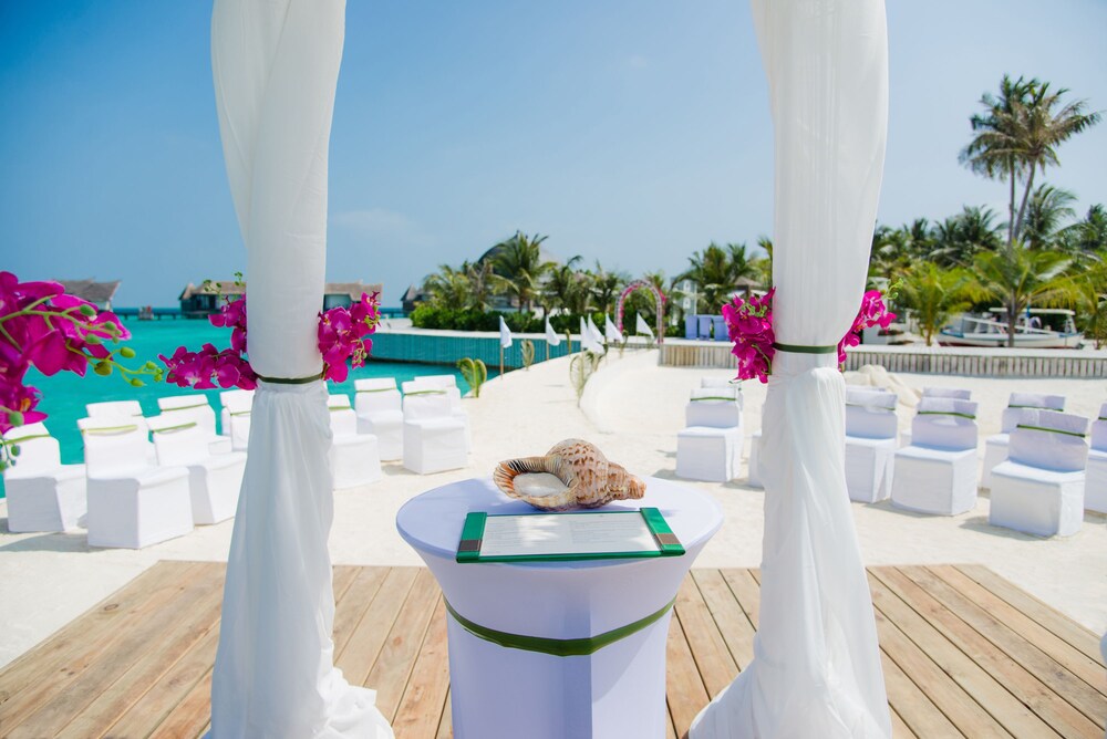 Outdoor Wedding Area