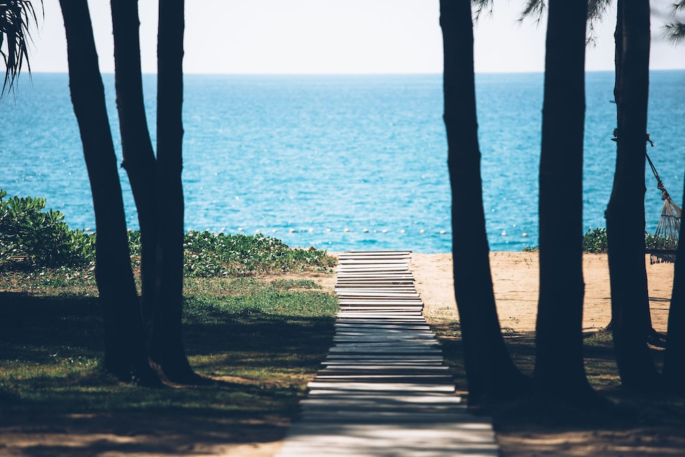 Beach/Ocean View