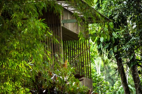 Hamadryade Lodge