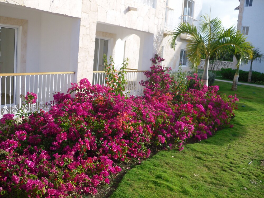 Jardin