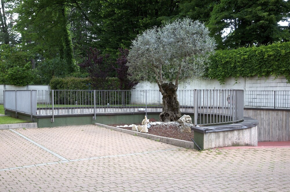 Vista cortile