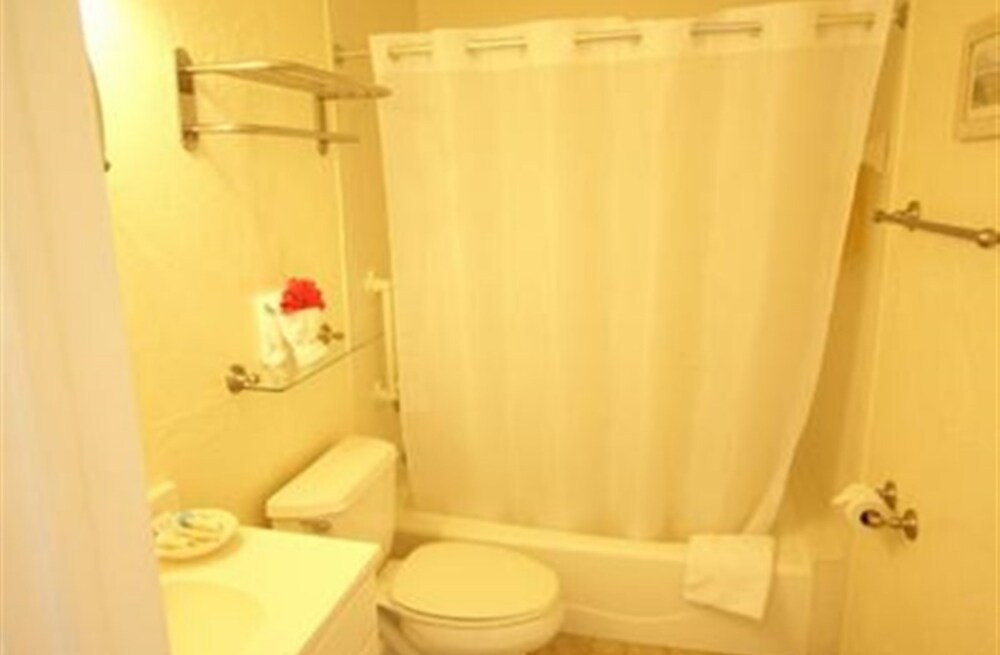 Room, Private Bathroom (Room 200) - Bathroom