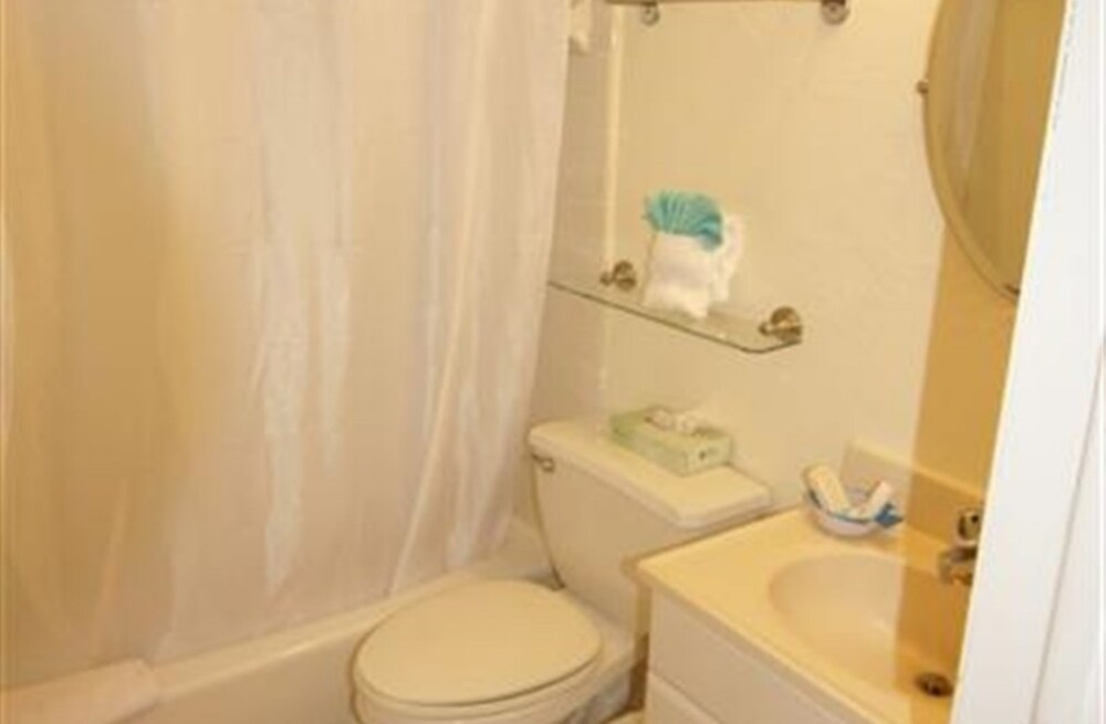 Room, Private Bathroom (Room 106) - Bathroom