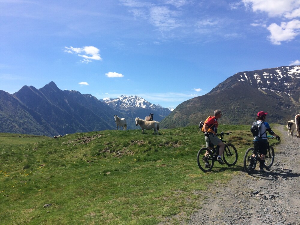 Bicycling