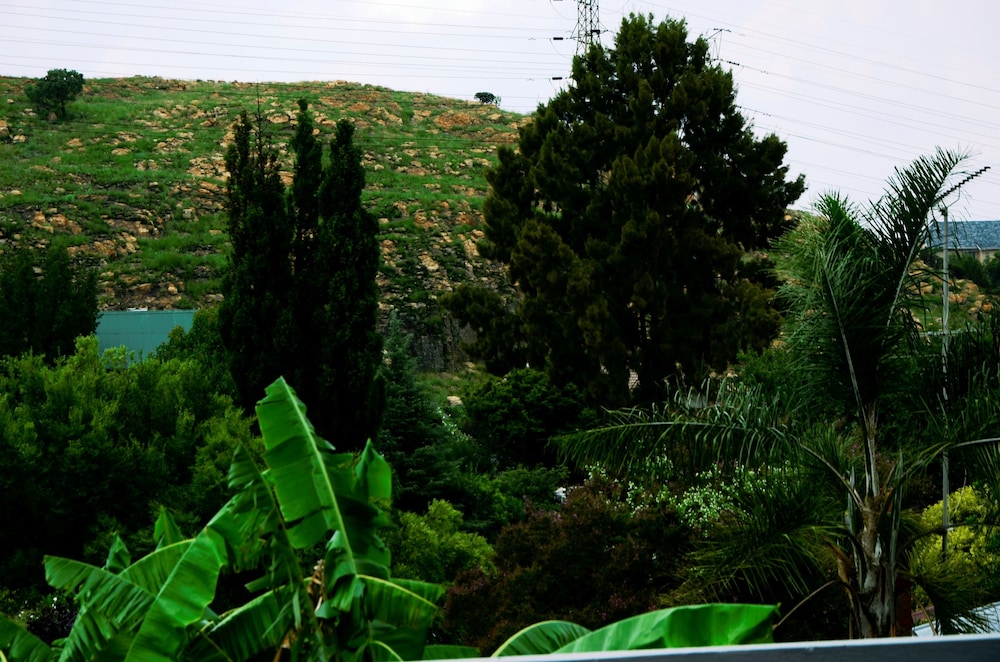 View from Hotel