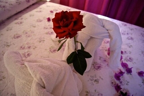 Studio - Guestroom