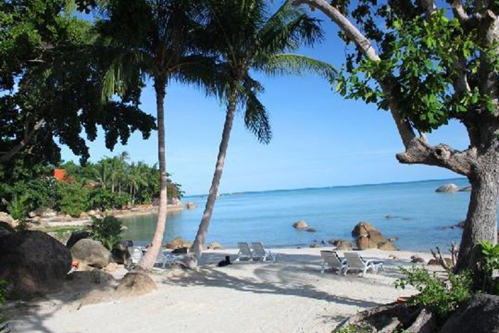 Beach/Ocean View