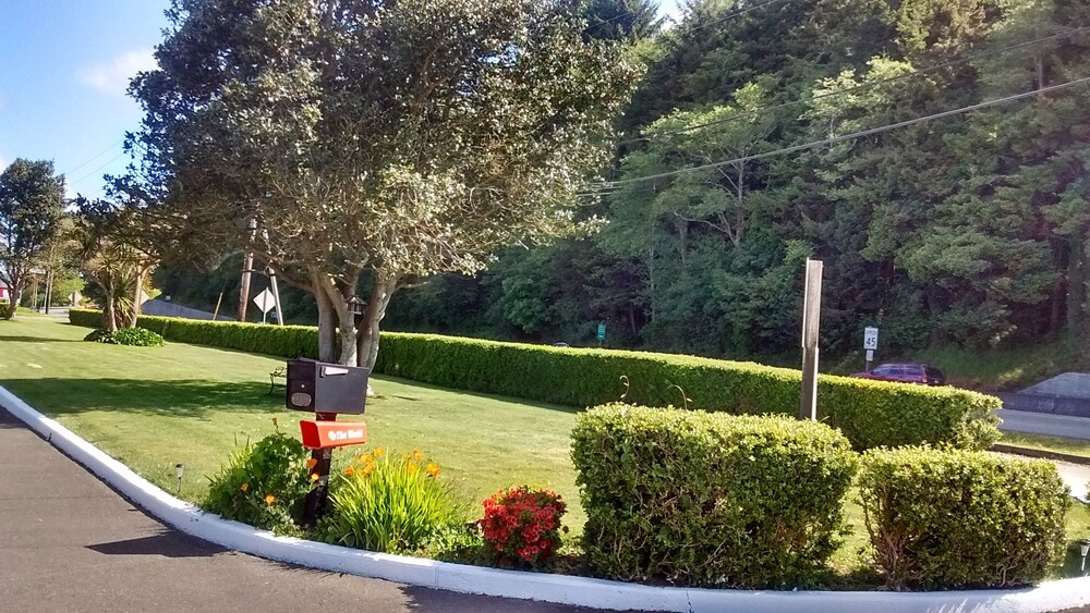 Childrens Area