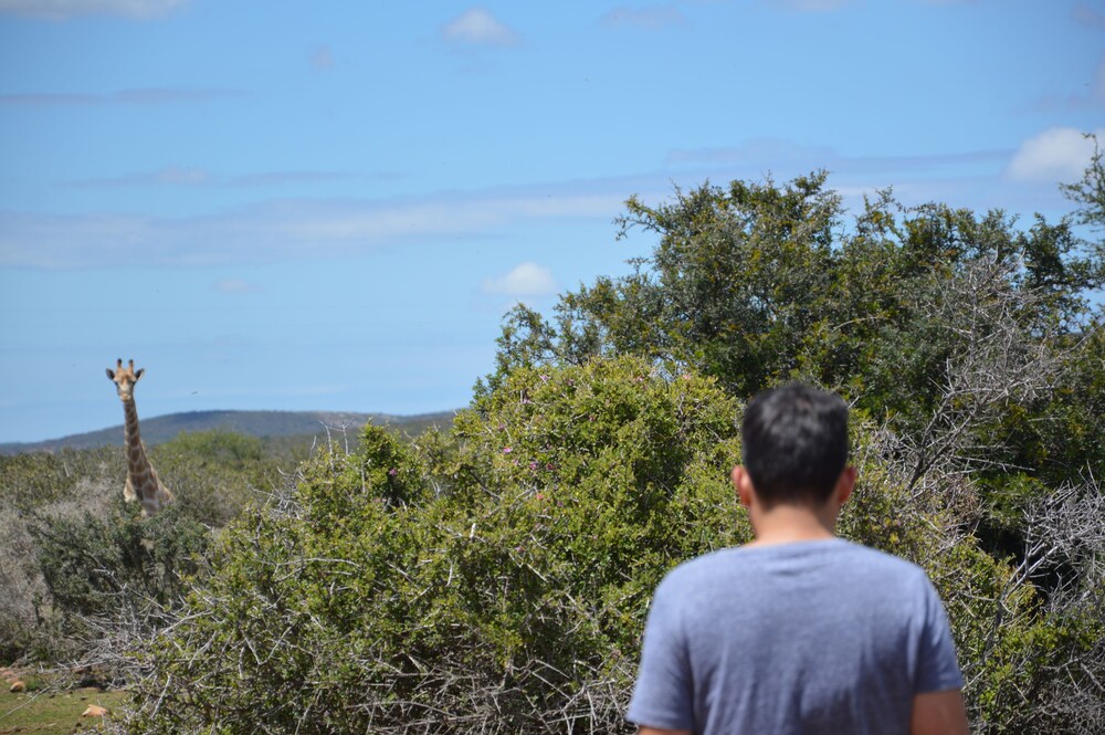 Hiking