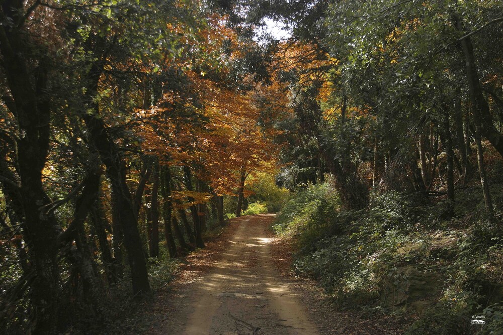 Jardines del establecimiento