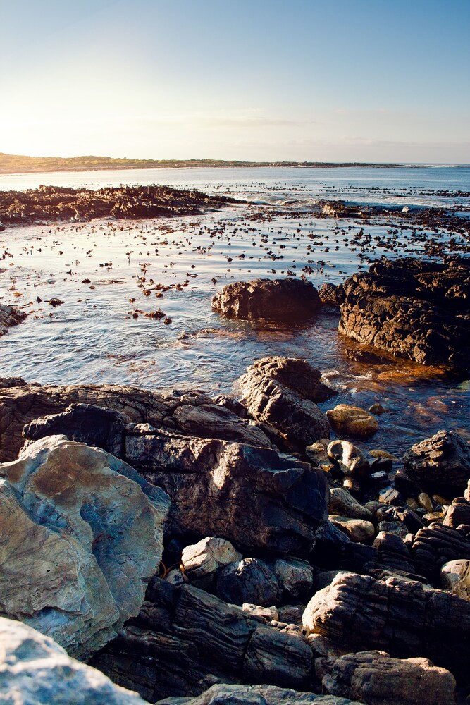 Beach/Ocean View