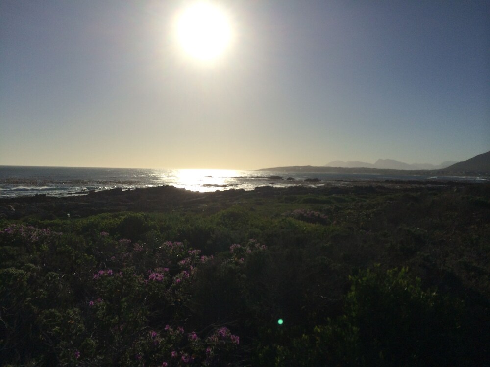 View from Hotel