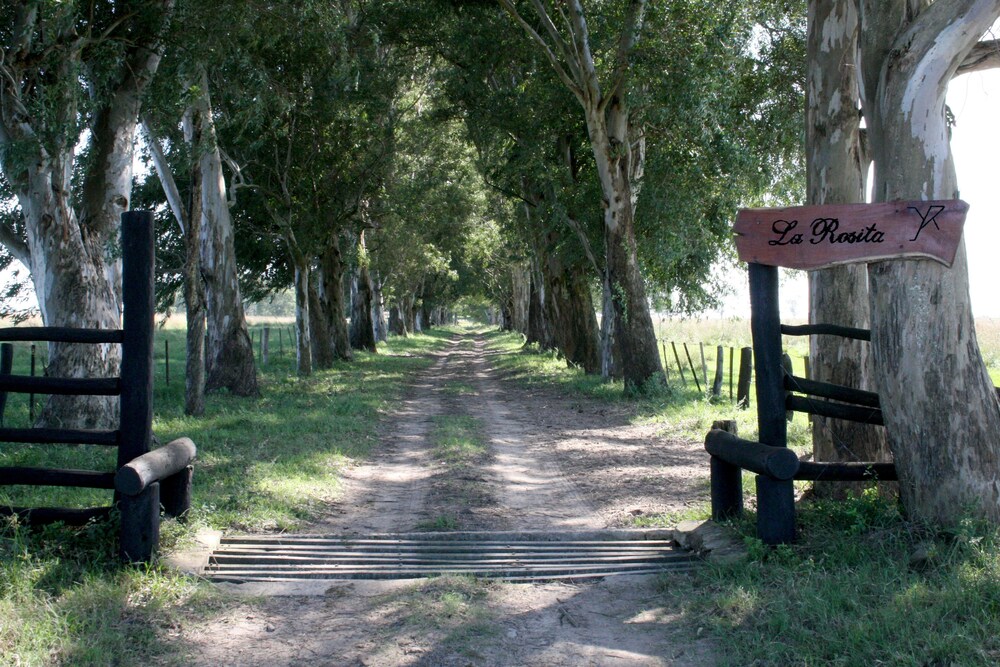 Entrada al hotel