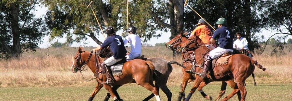 Instalaciones deportivas
