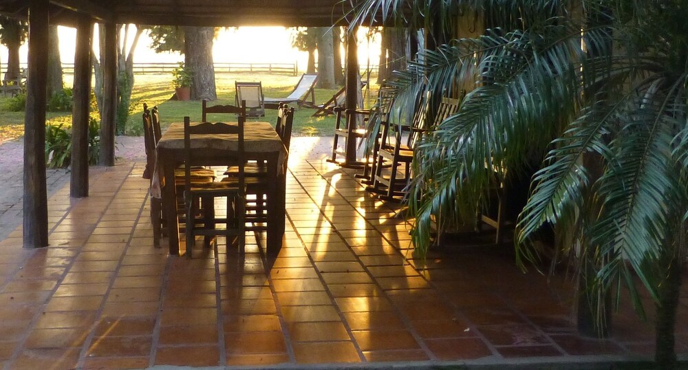 Terraza o patio