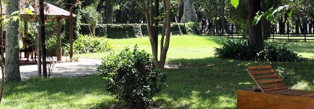 Jardín