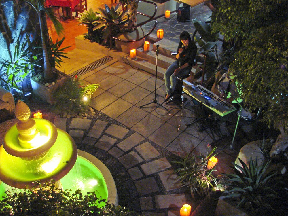 Garden
