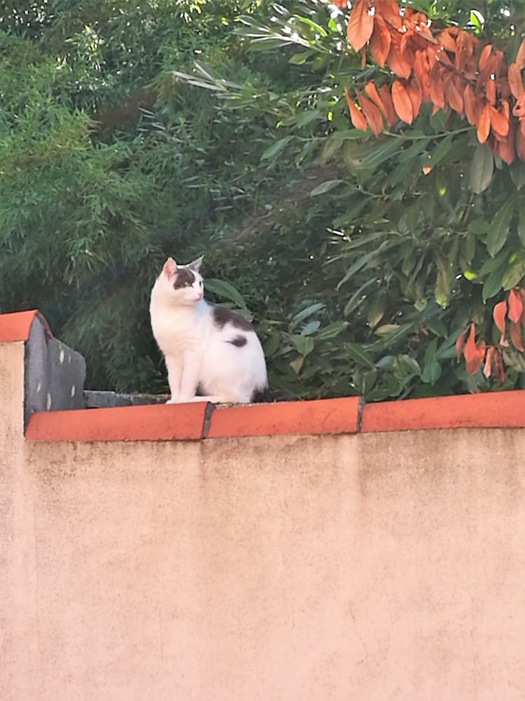 Dettaglio esterni