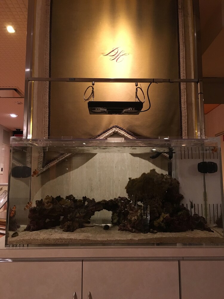 로비