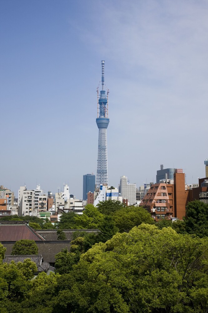 City View