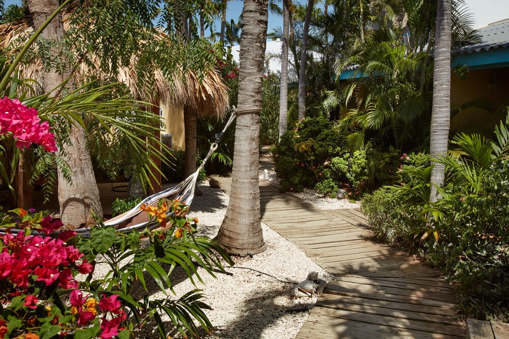 Suite, 1 Bedroom - Terrace/Patio