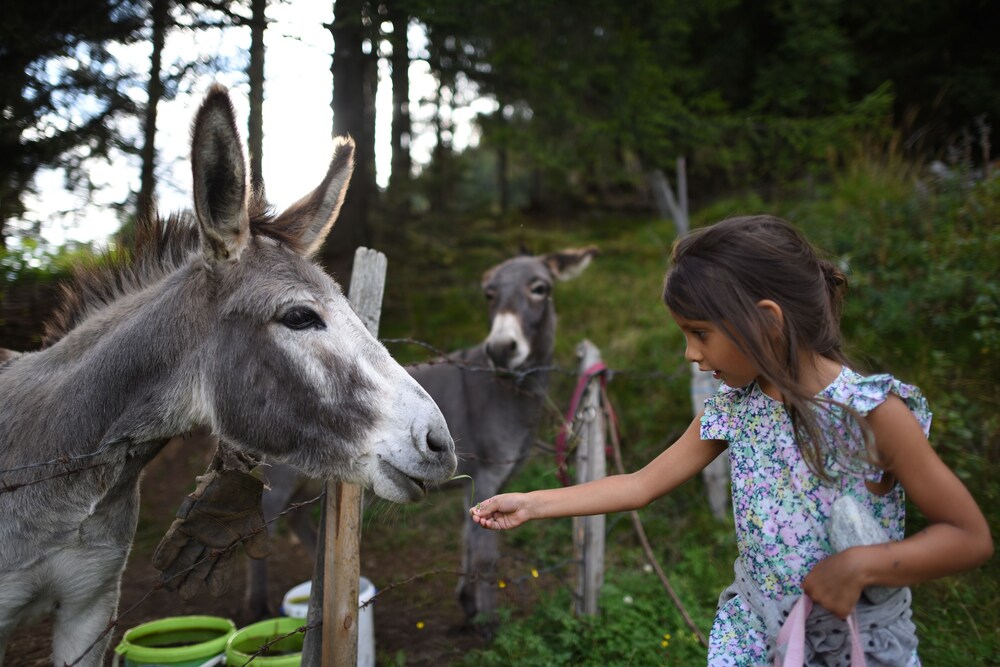 Childrens Activities