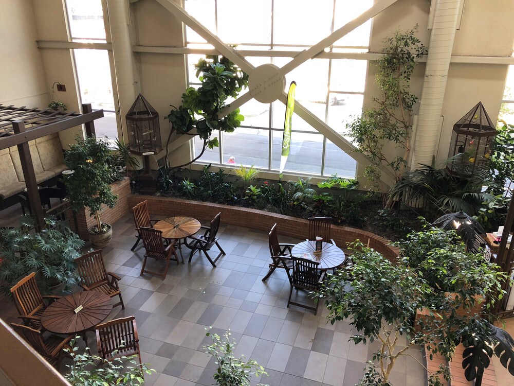 Hotel Bar