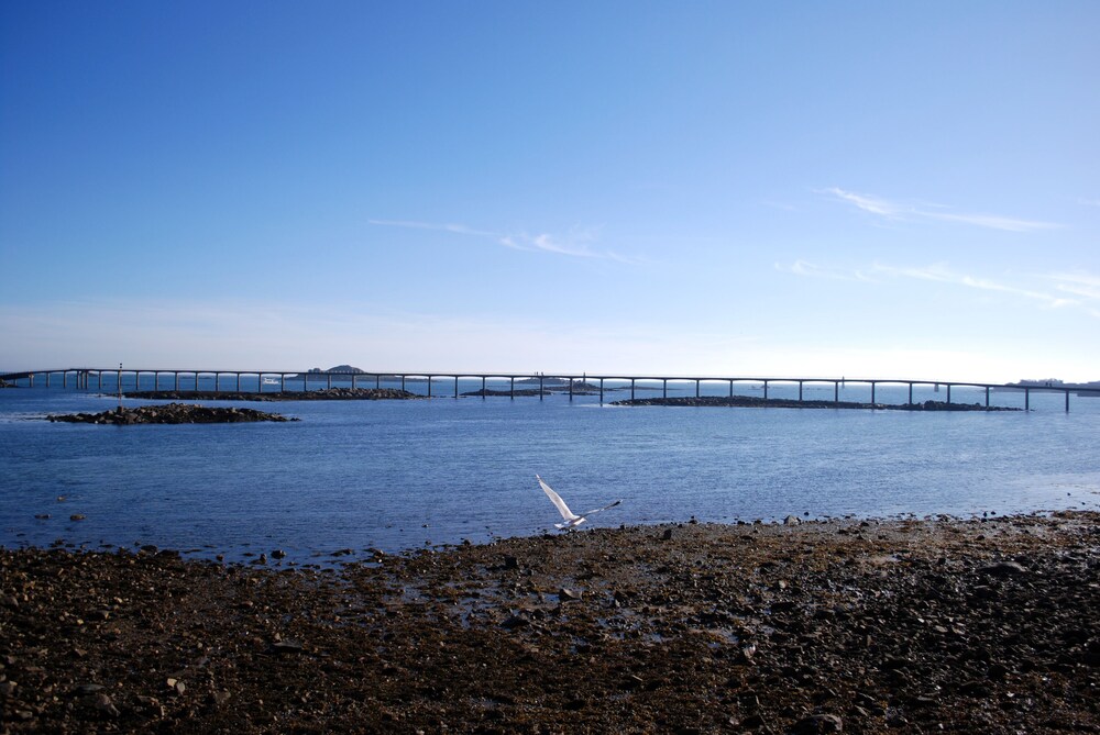 Vue sur la plage/la mer