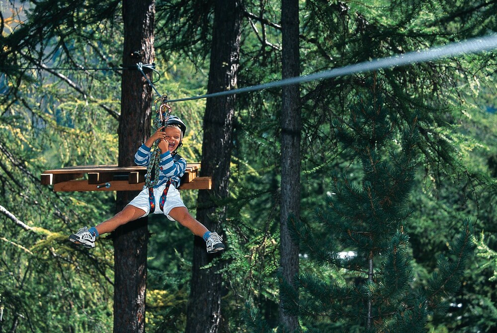 Ropes Course (Team Building)