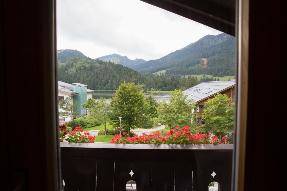 Guestroom View