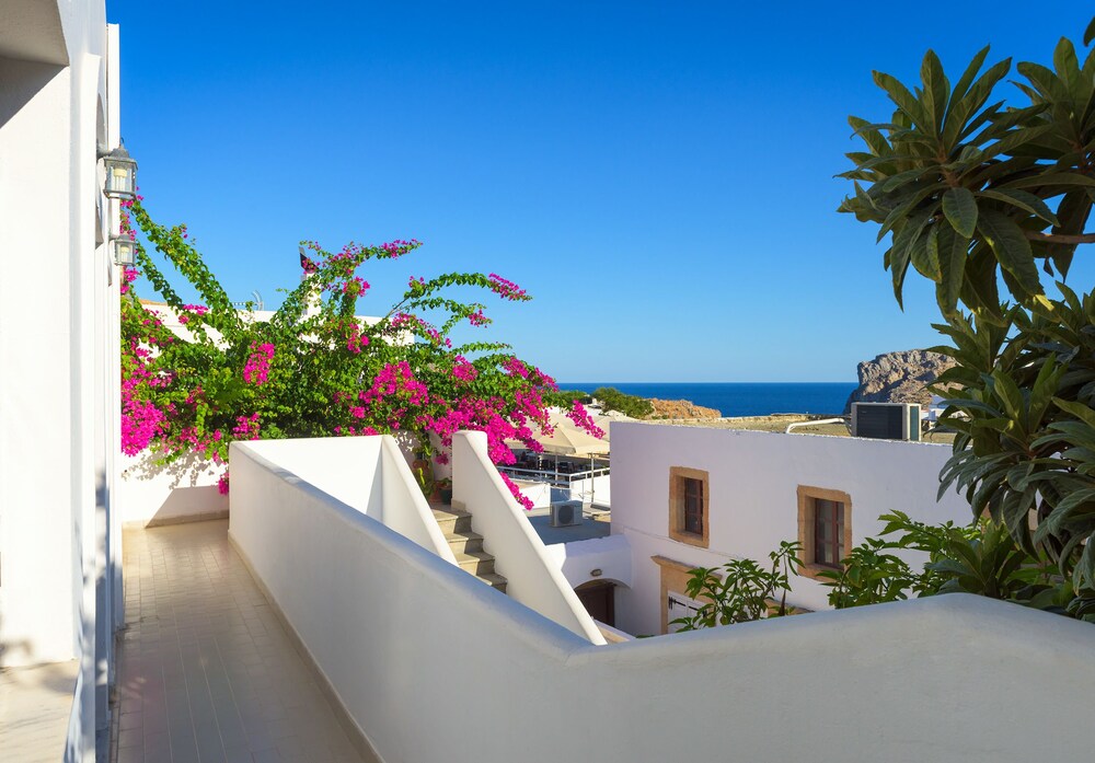 Apartment - Terrace/Patio
