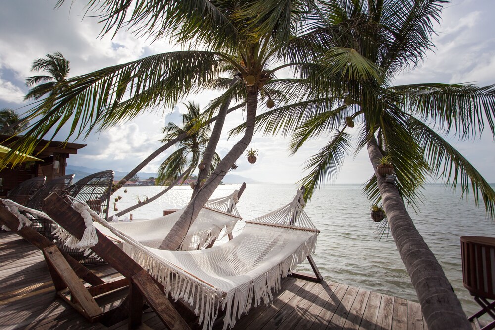 Beach/Ocean View