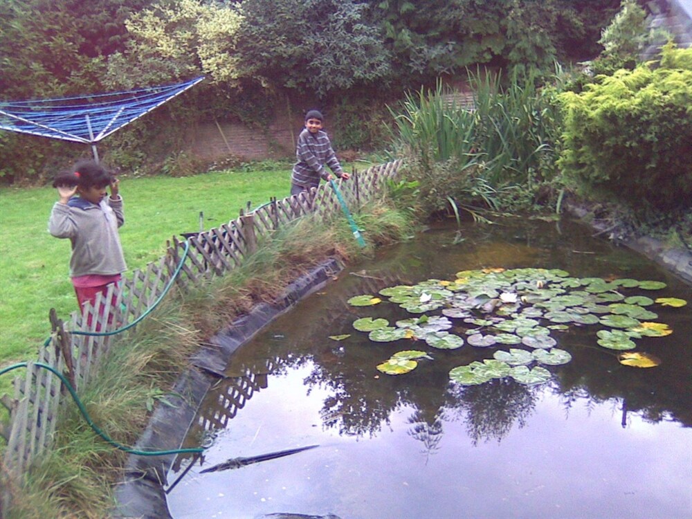 Lake View