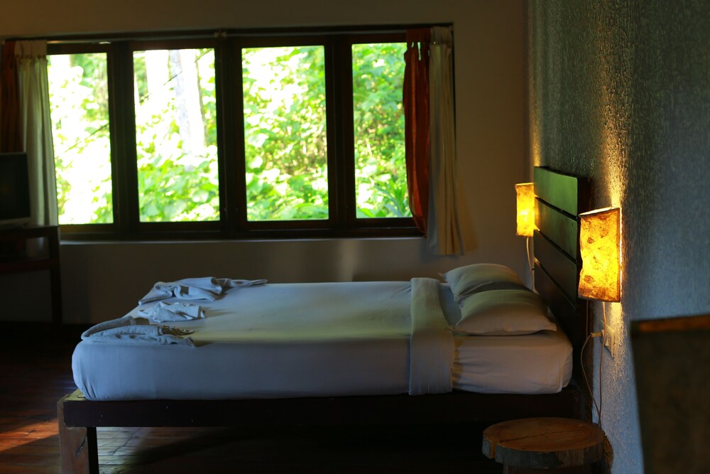 Guestroom View