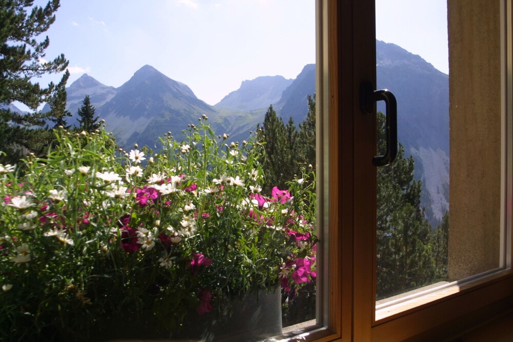 View from Hotel
