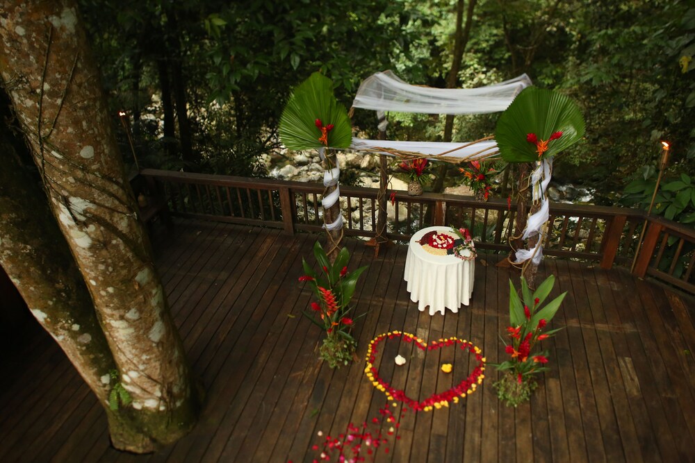 Outdoor Wedding Area