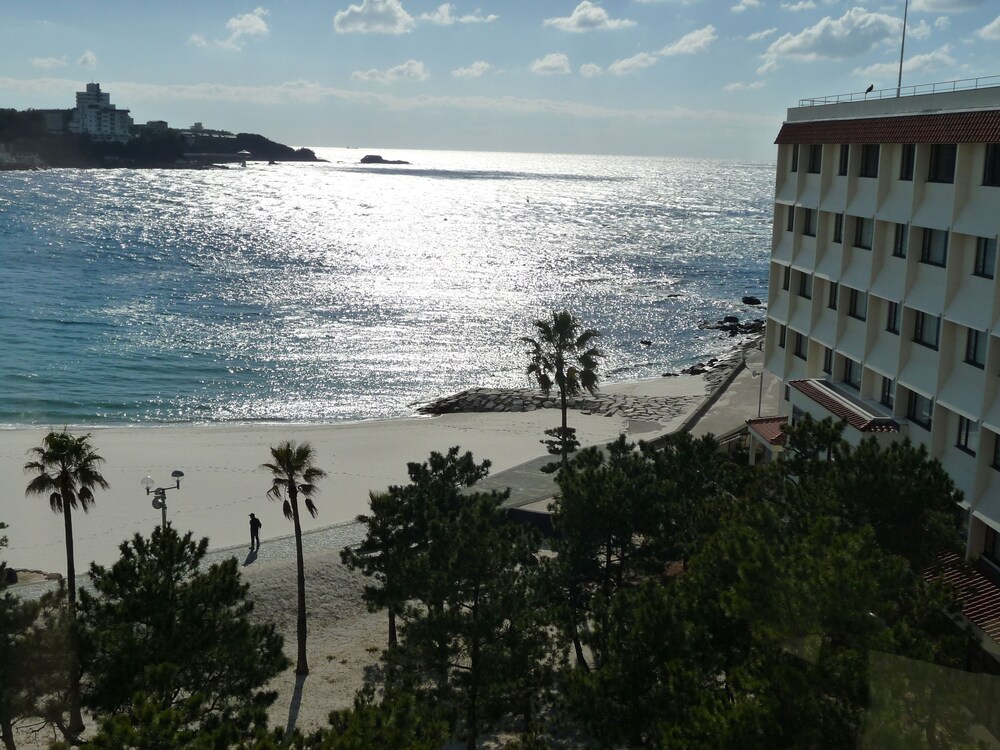 Beach/Ocean View