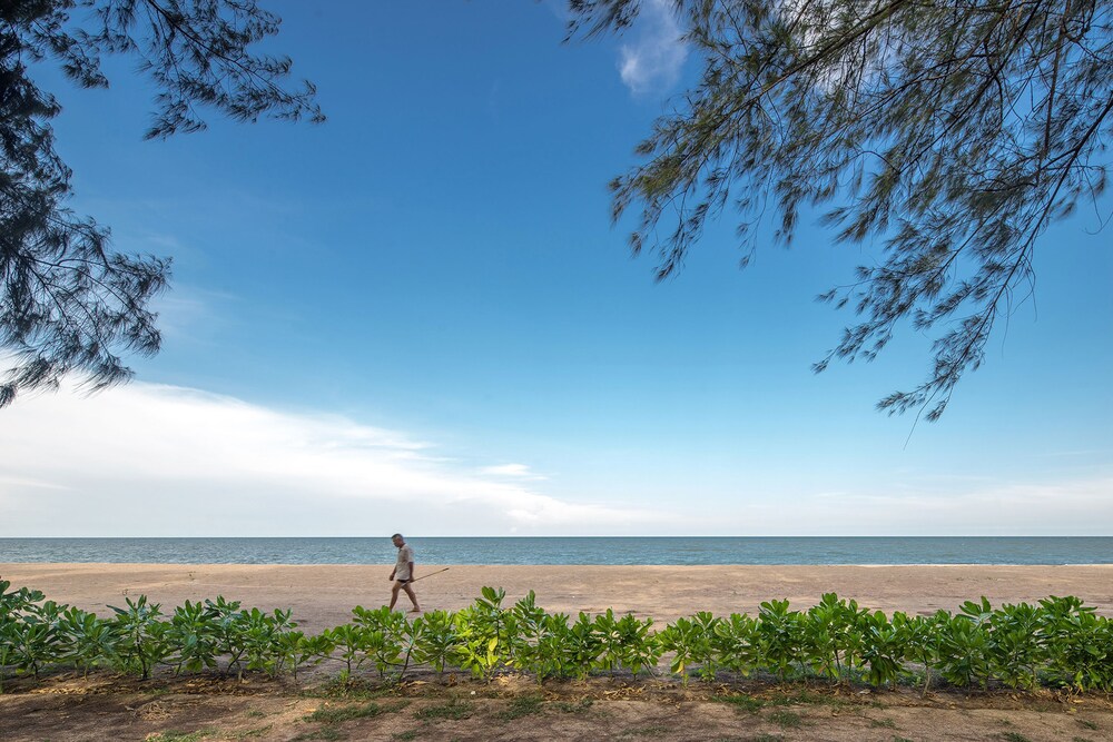 Beach/Ocean View