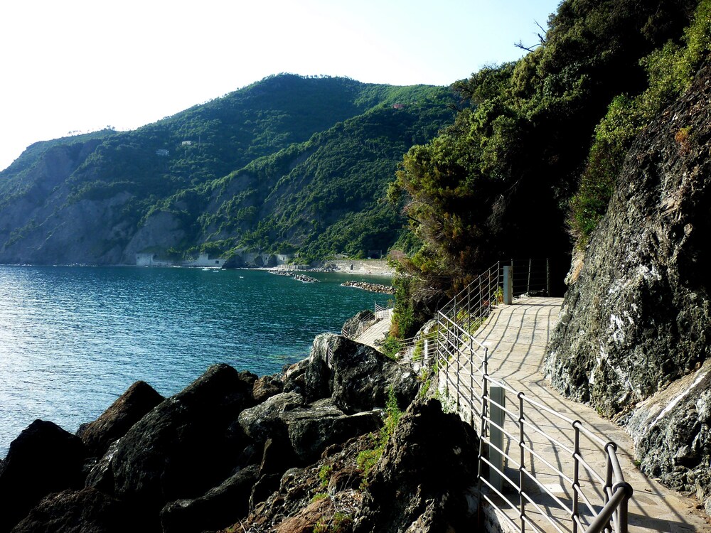 해변