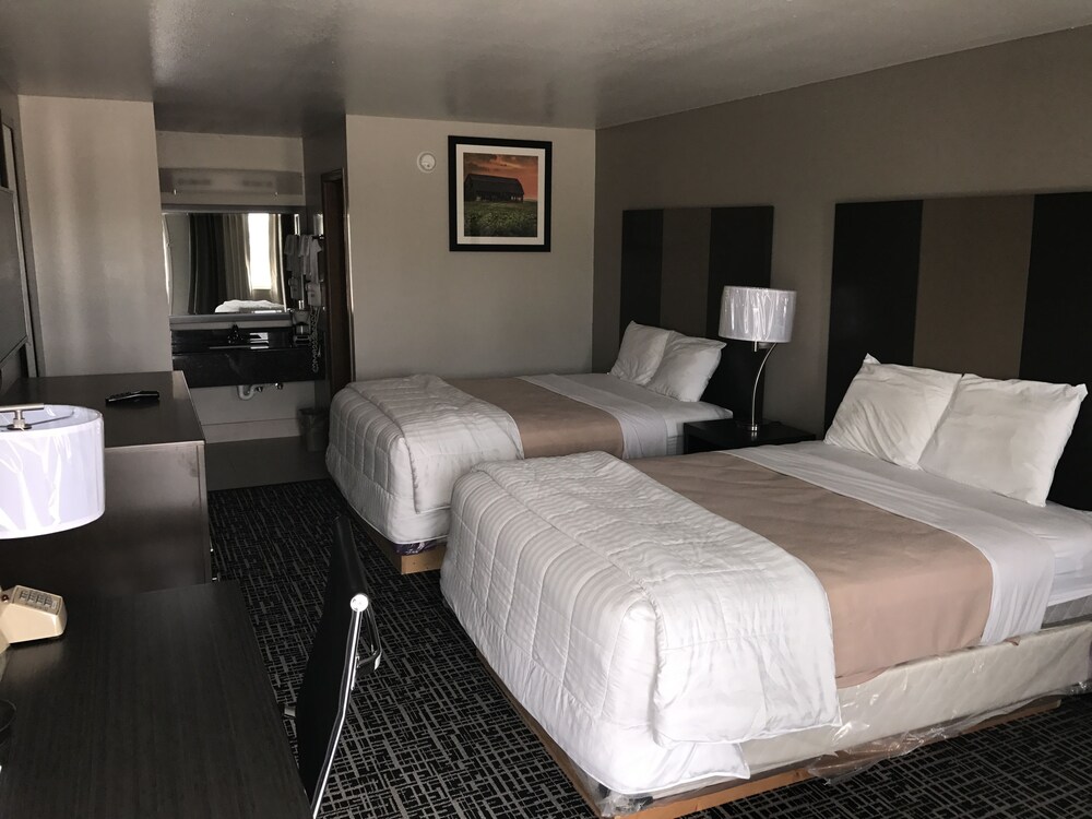 Guestroom View