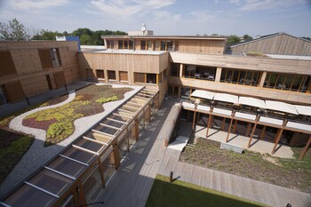 Courtyard View