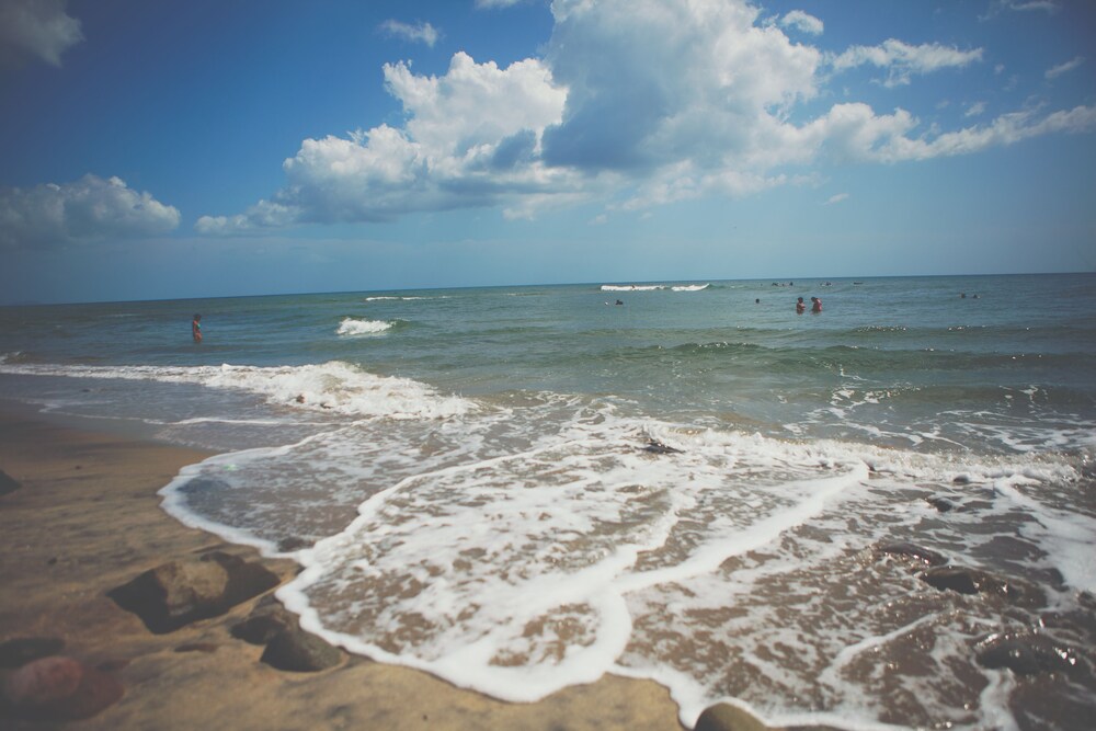Beach/Ocean View