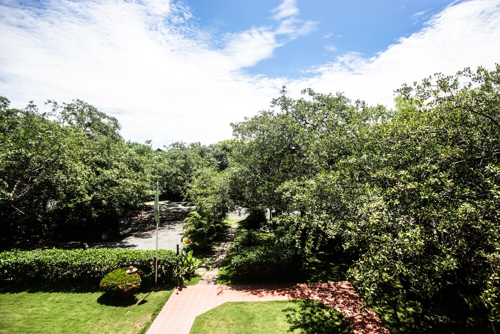 Guestroom View