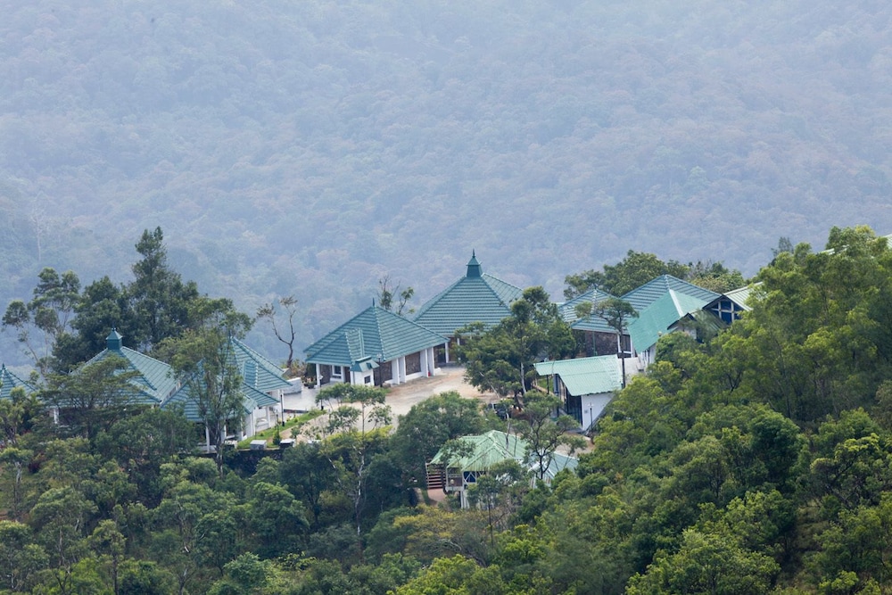 대표 사진