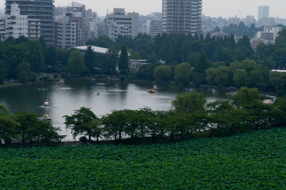 Lake View