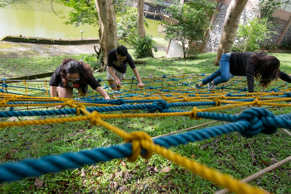 Ropes Course (Team Building)