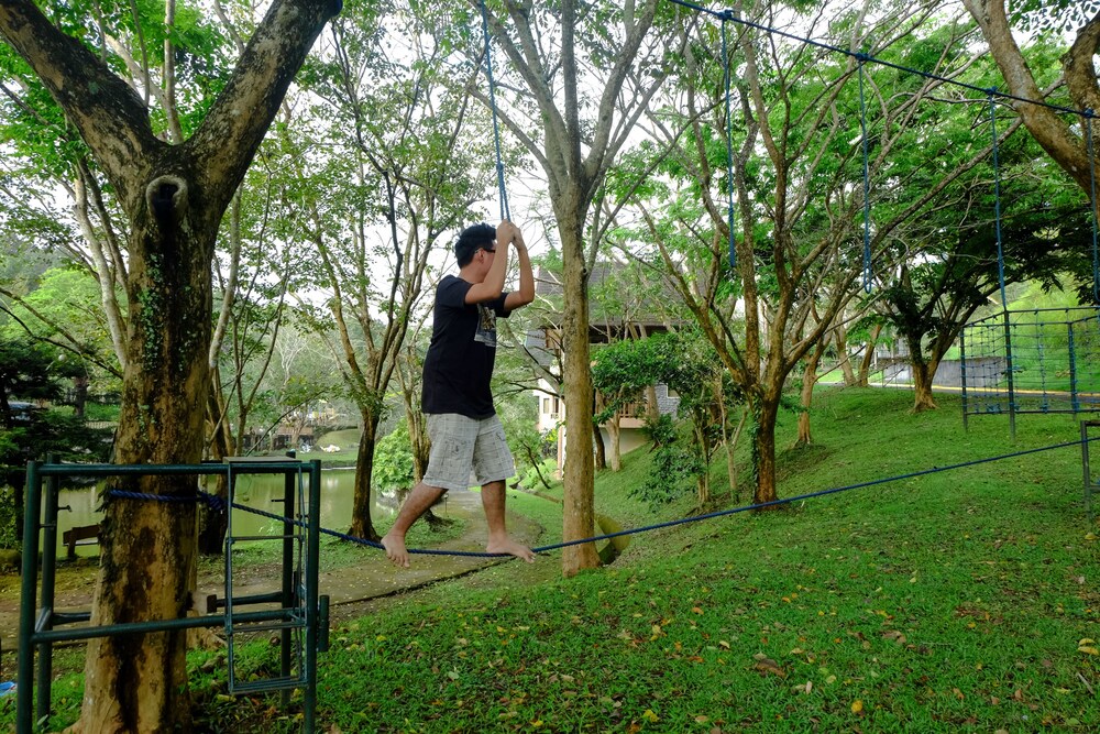 Ropes Course (Team Building)