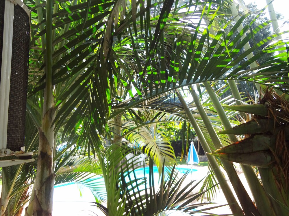 View from Hotel