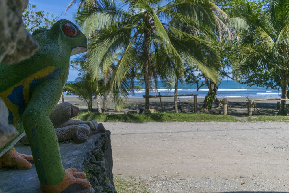 Beach/Ocean View