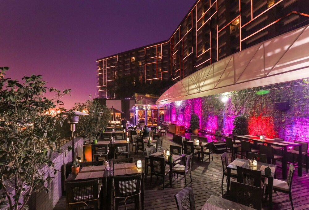 Hotel Bar